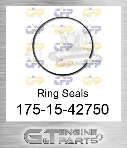 175-15-42750 Ring Seals