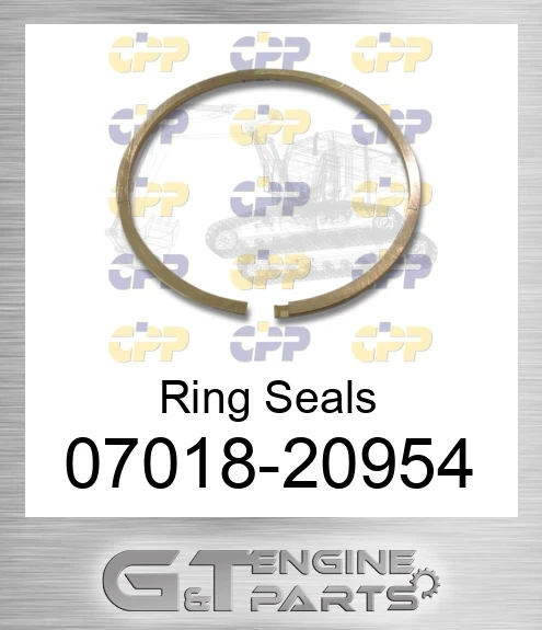 07018-20954 Ring Seals