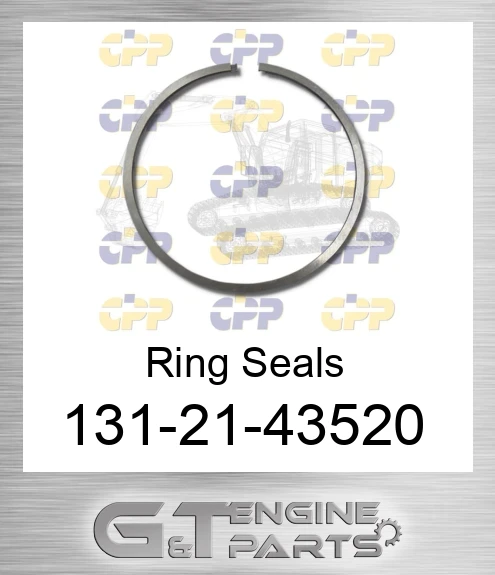 131-21-43520 Ring Seals
