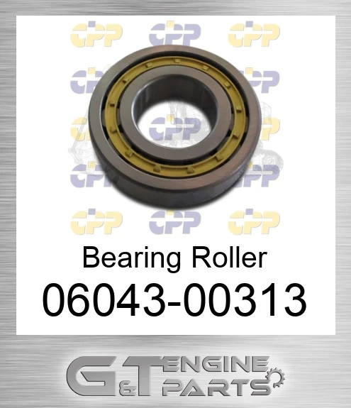06043-00313 Bearing Roller