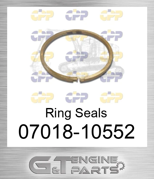 07018-10552 Ring Seals
