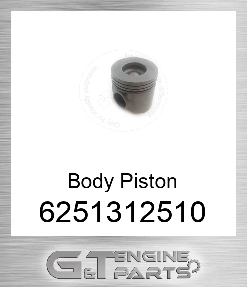 6251312510 Body Piston