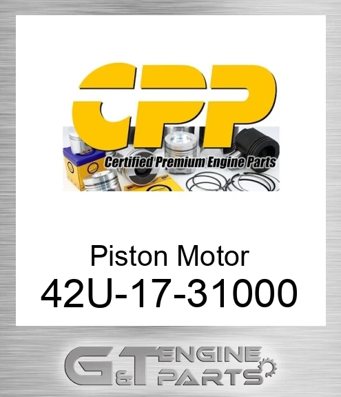 42U-17-31000 Piston Motor