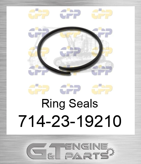 714-23-19210 Ring Seals