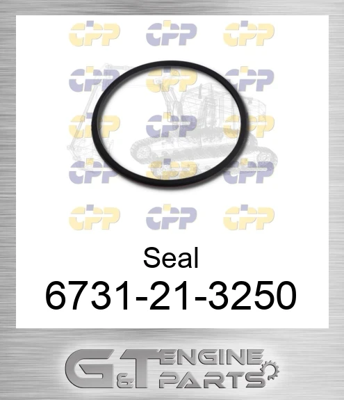 6731-21-3250 Seal