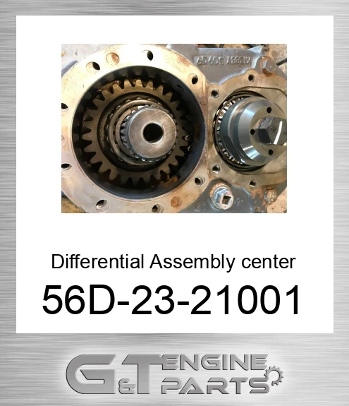 56D-23-21001 Differential Assembly center