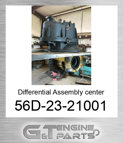 56D-23-21001 Differential Assembly center