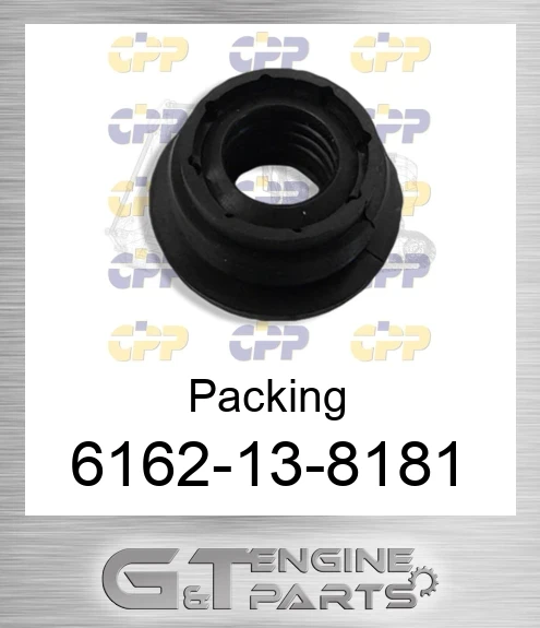 6162-13-8181 Packing