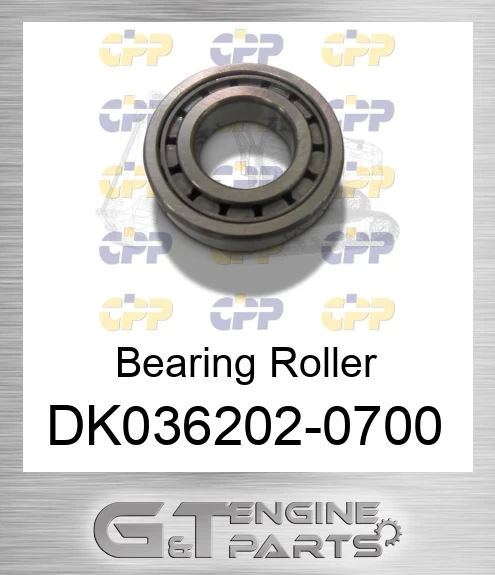 Dk036202-0700 Bearing Roller