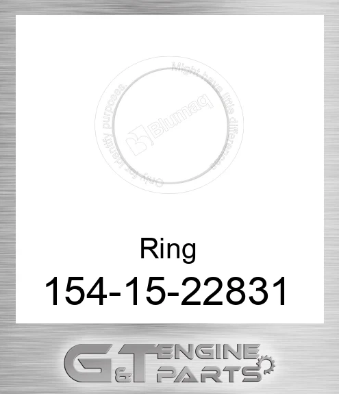 1541522831 Ring