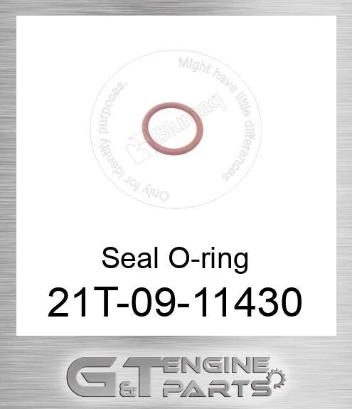 21T-09-11430 Seal O-ring