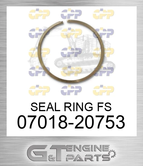07018-20753 SEAL RING FS