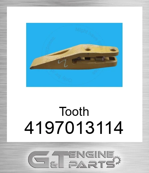 4197013114 Tooth