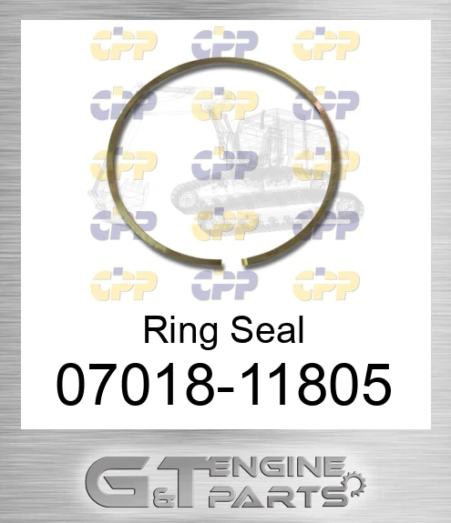 07018-11805 Ring Seal