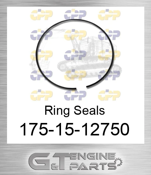 175-15-12750 Ring Seals