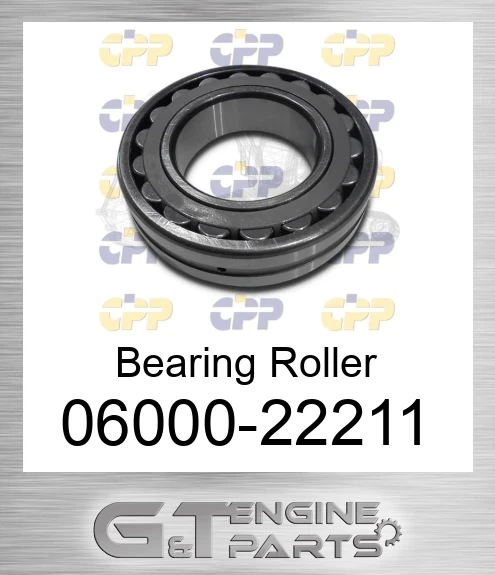 06000-22211 Bearing Roller