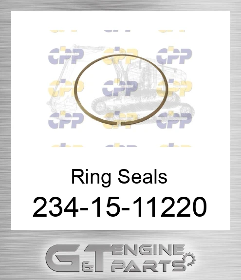 234-15-11220 Ring Seals