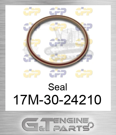 17m3024210 Seal