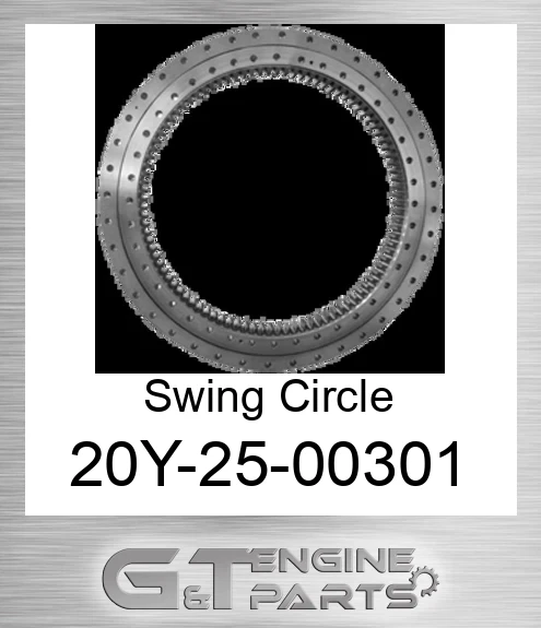 20Y2500301 Swing Circle