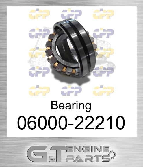 06000-22210 Bearing
