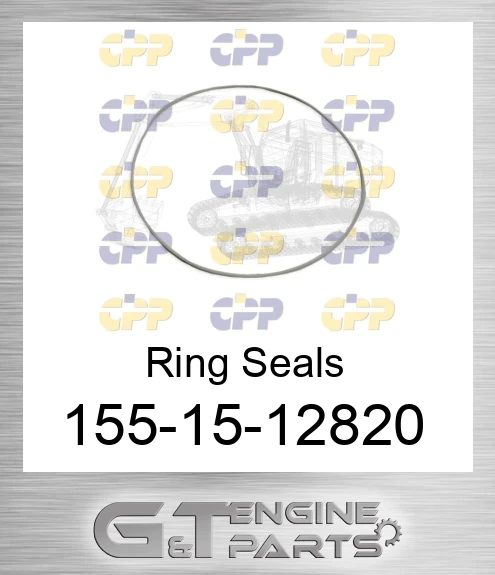 155-15-12820 Ring Seals