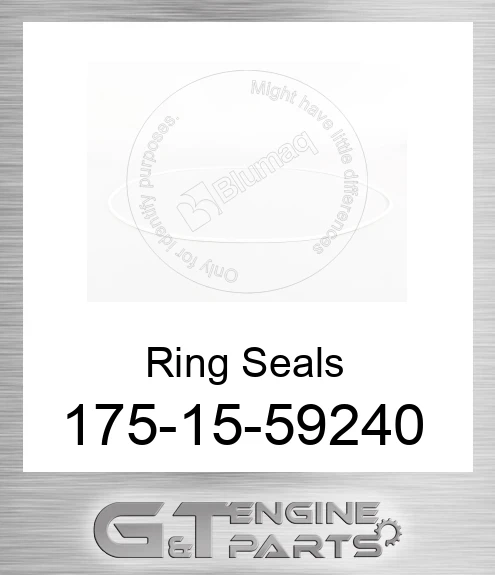 175-15-59240 Ring Seals