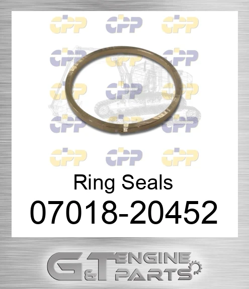 07018-20452 Ring Seals