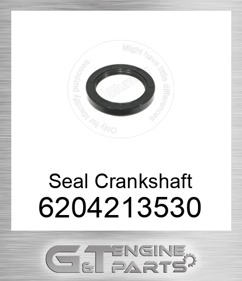 6204-21-3530 Seal Crankshaft
