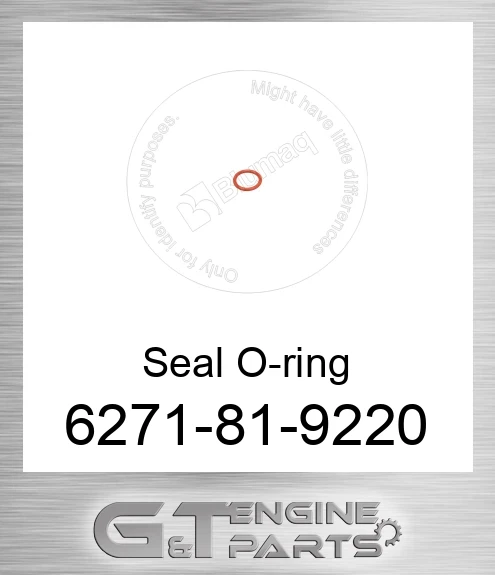 6271819220 Seal O-ring