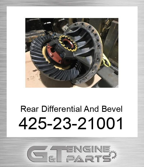 425-23-21001 Rear Differential And Bevel Gear Group