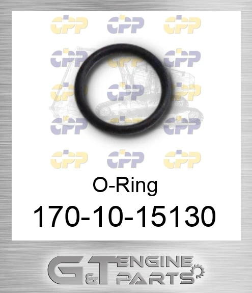 170-10-15130 O-Ring