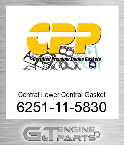 6251-11-5830 Central Lower Central Gasket Kit Gasket
