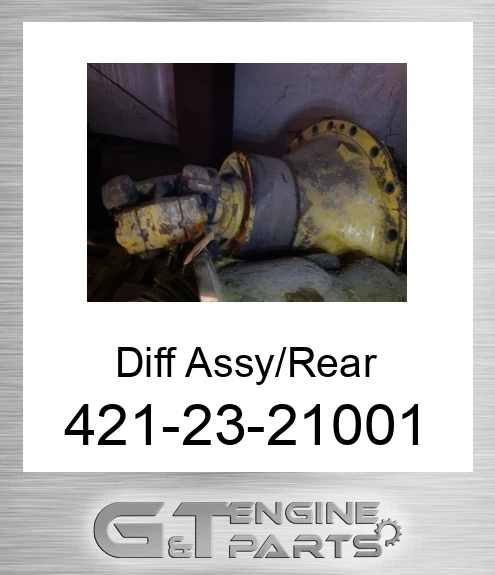 421-23-21001 Diff Assy/Rear