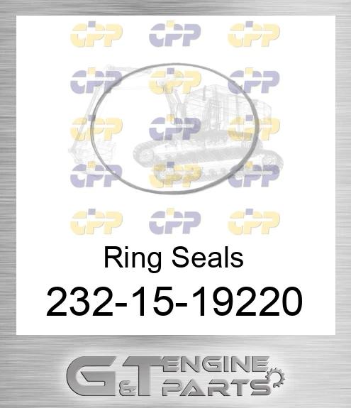 232-15-19220 Ring Seals
