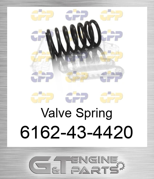 6162-43-4420 Valve Spring