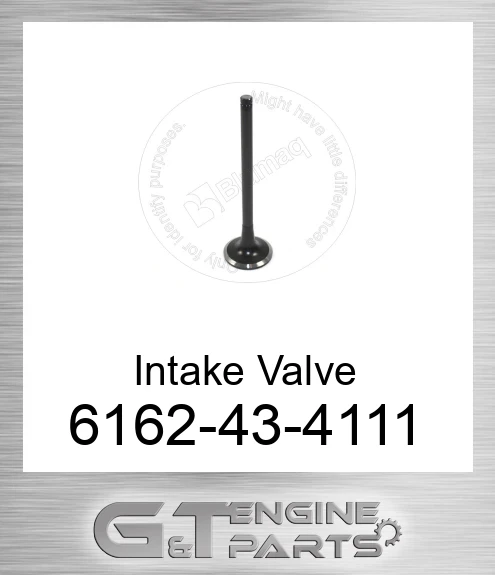 6162-43-4111 Intake Valve