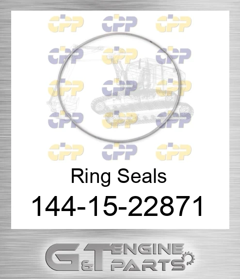 144-15-22871 Ring Seals