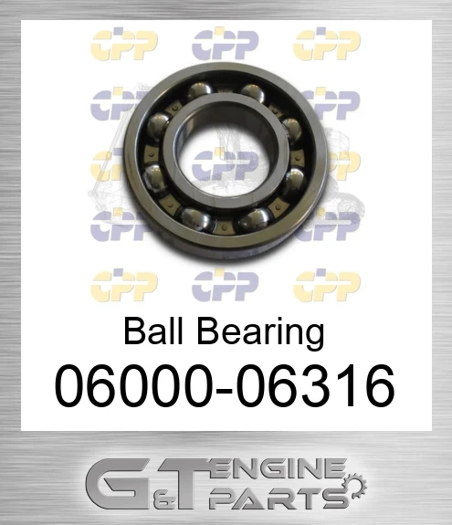 06000-06316 Ball Bearing