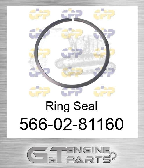 566-02-81160 Ring Seal
