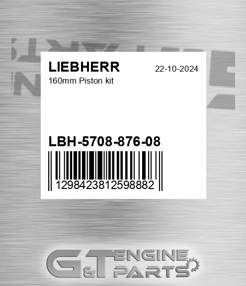 LBH-5708-876-08 160mm Piston Kit