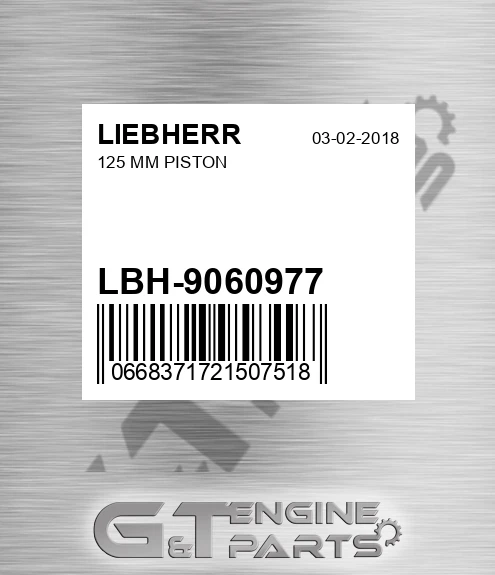 LBH-9060977 125 Mm Piston