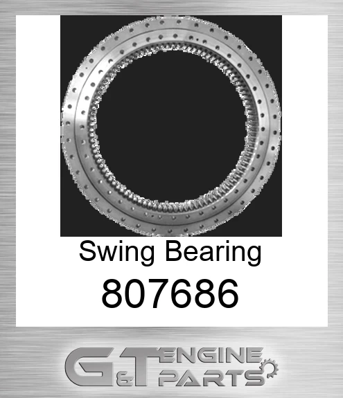 807686 Swing Bearing