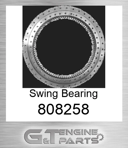 808258 Swing Bearing