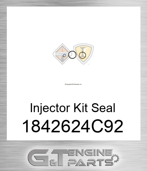 1842624C92 Injector Kit Seal
