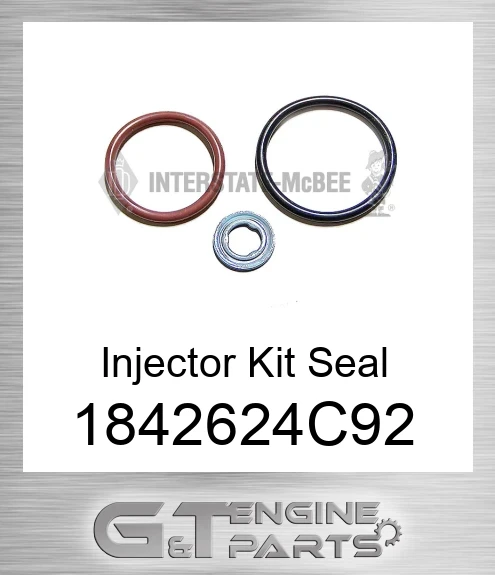 1842624C92 Injector Kit Seal