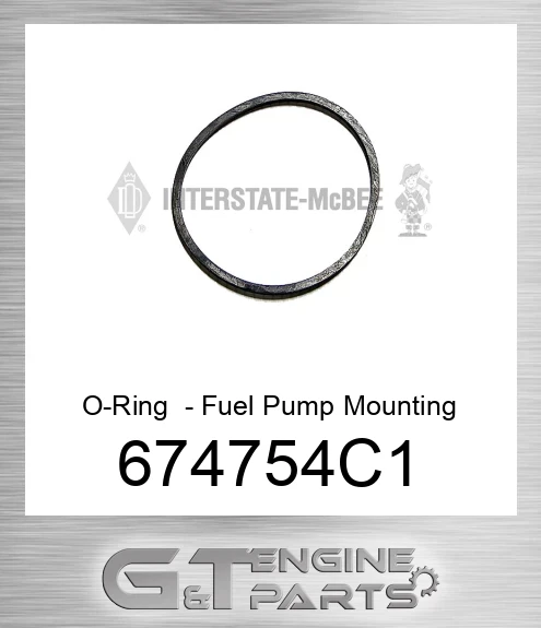 674754C1 O-Ring - Fuel Pump Mounting