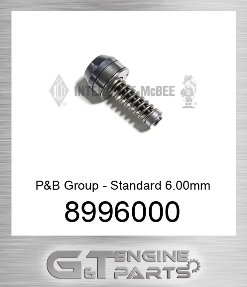 8996000 P&B Group - Standard 6.00mm