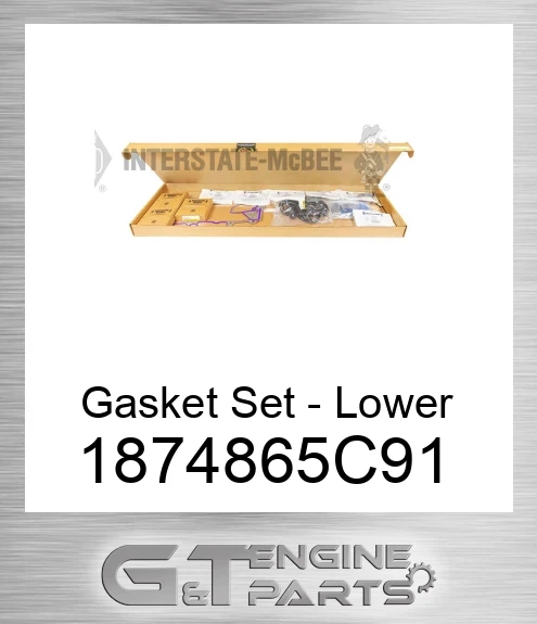 1874865C91 Gasket Set - Lower