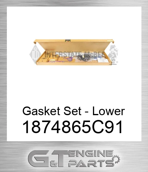 1874865C91 Gasket Set - Lower