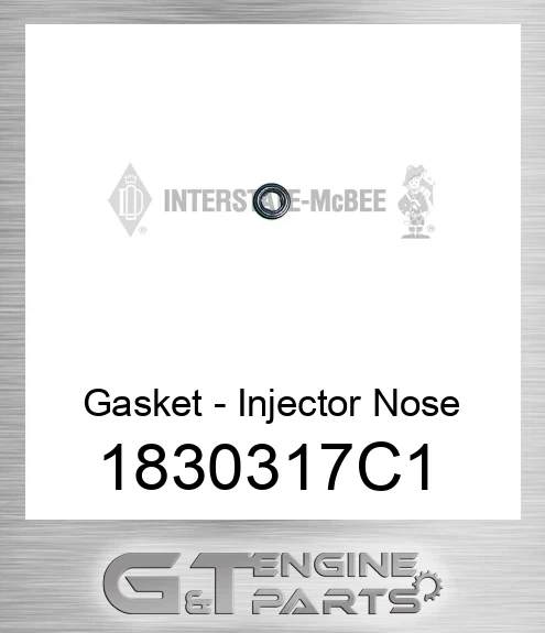 1830317C1 Gasket - Injector Nose